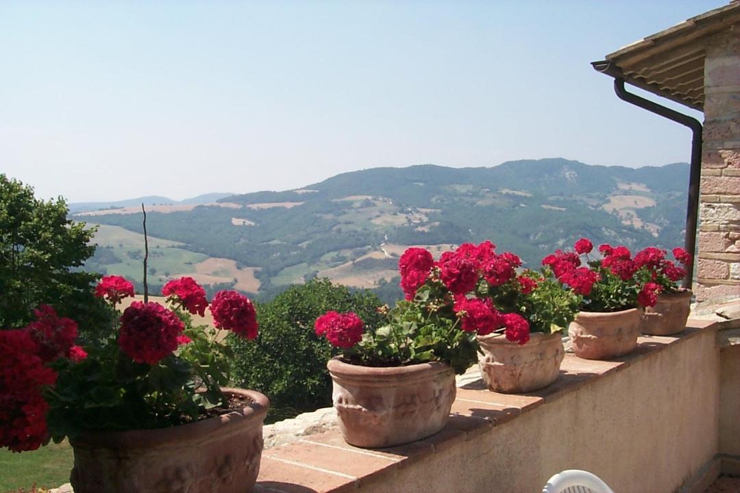 Photo of Others in Assisi