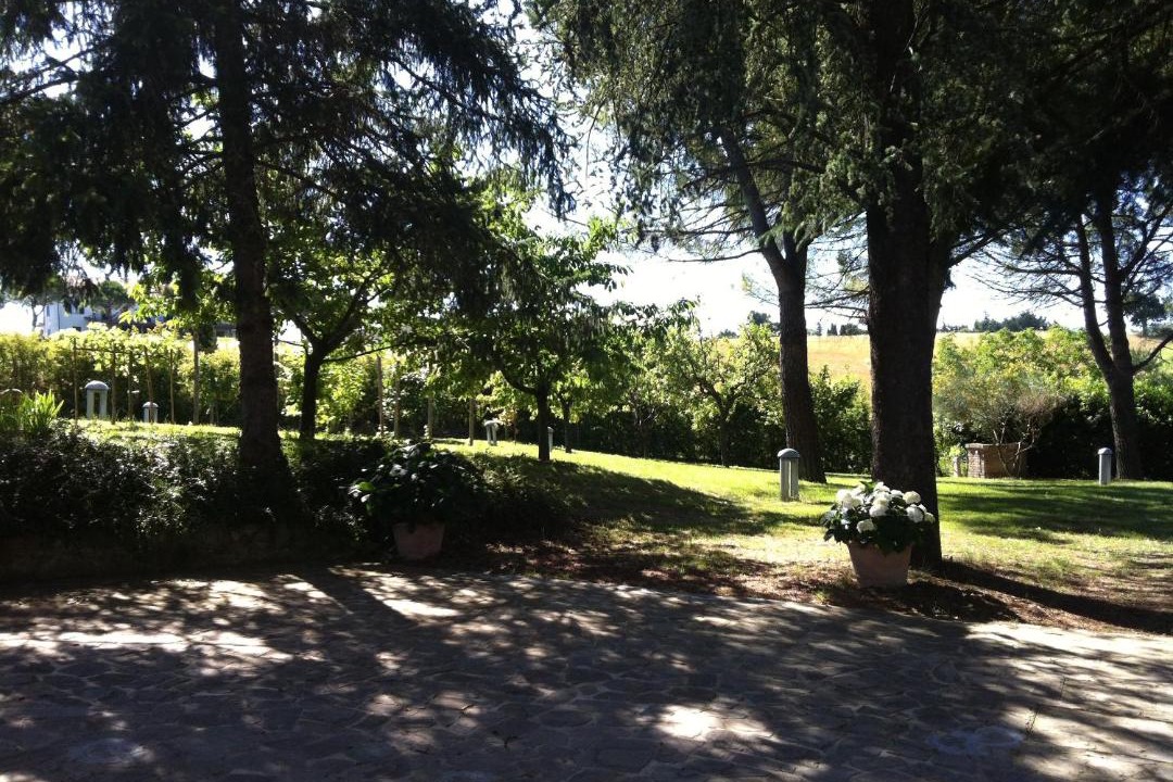 Photo of Others in Cupramontana