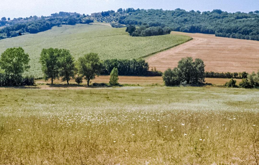 Photo of Others in Acquasparta