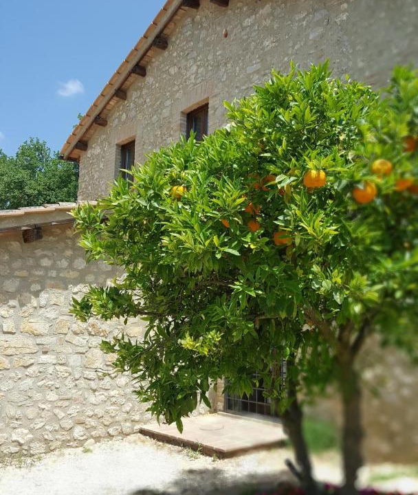 Photo of Others in Montebuono