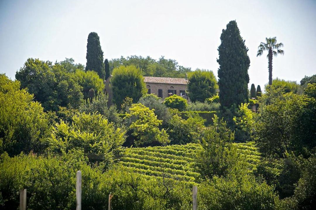 Photo of Others in Potenza Picena