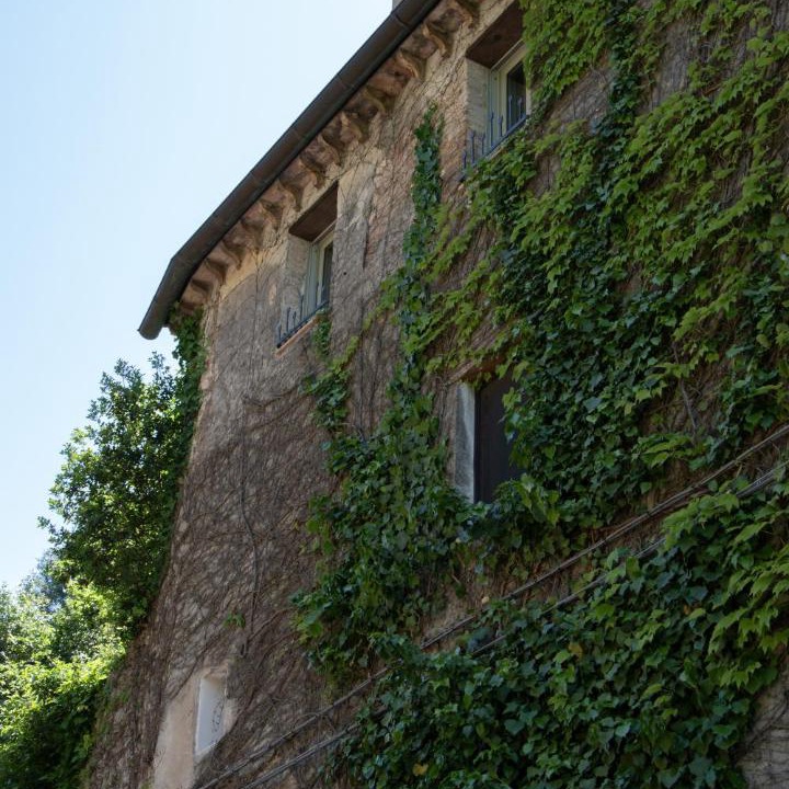 Photo of Others in Narni