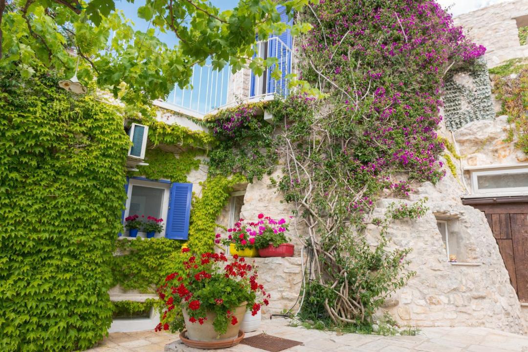 Photo of Others in Bisceglie