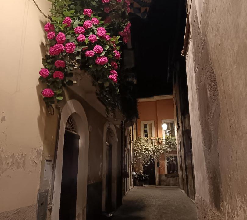 Photo of Others in Sulmona