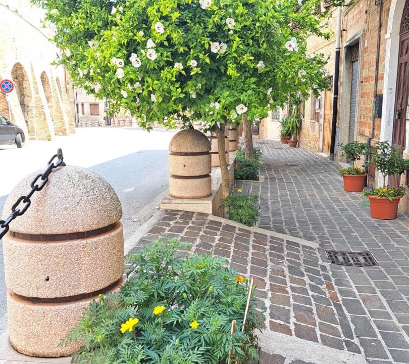 Photo of Others in Osimo