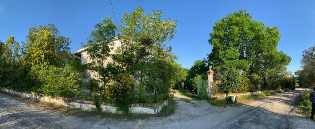 Photo of Others in Montemarciano