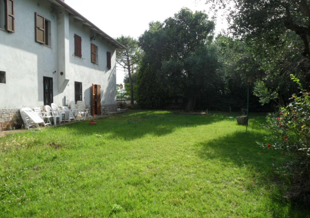 Photo of Others in Montemarciano