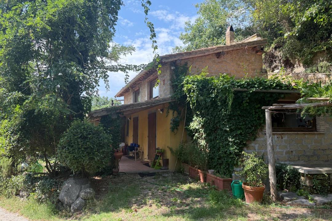 Photo of Others in Montefiascone
