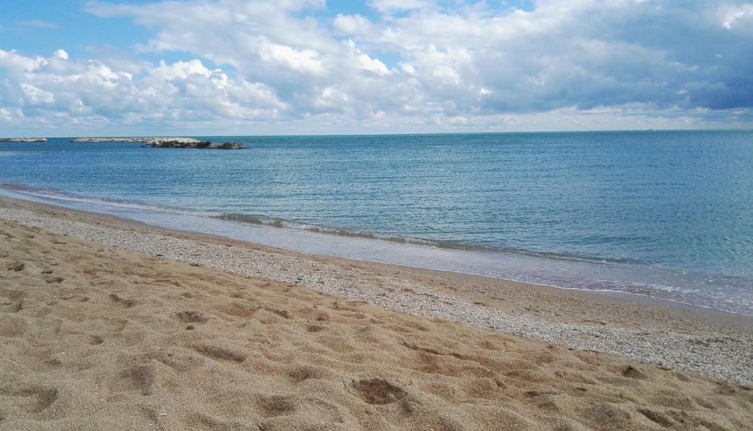 Photo of Others in Civitanova Marche