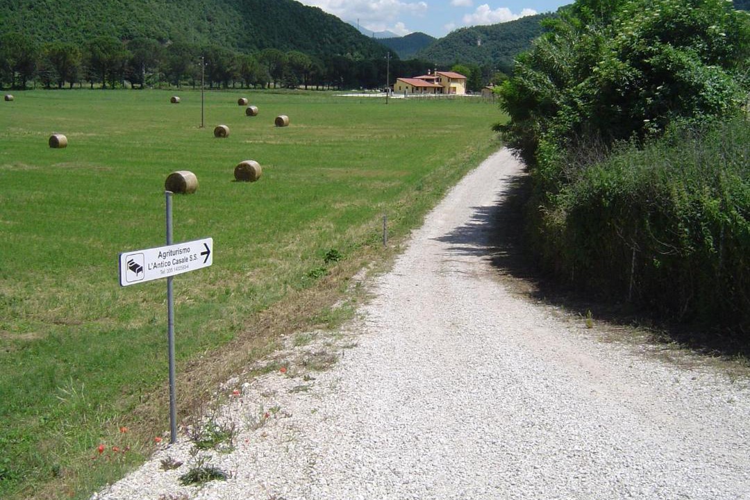 Photo of Others in Terni