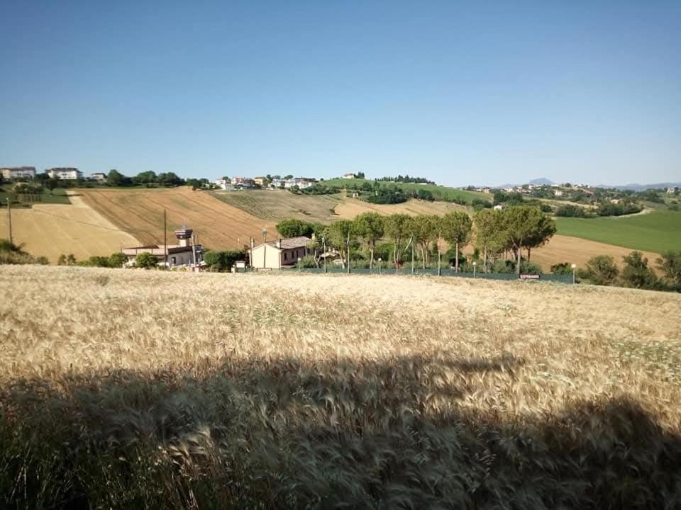 Photo of Others in Filottrano