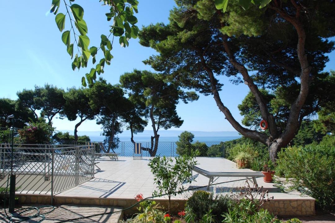 Photo of Others in Tremiti Islands