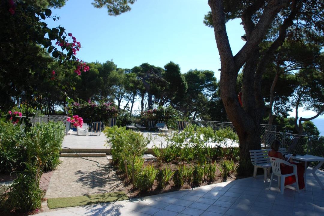 Photo of Others in Tremiti Islands
