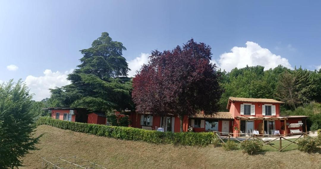 Photo of Others in Bevagna