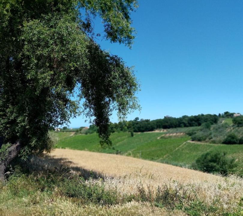 Photo of Others in Casalbordino