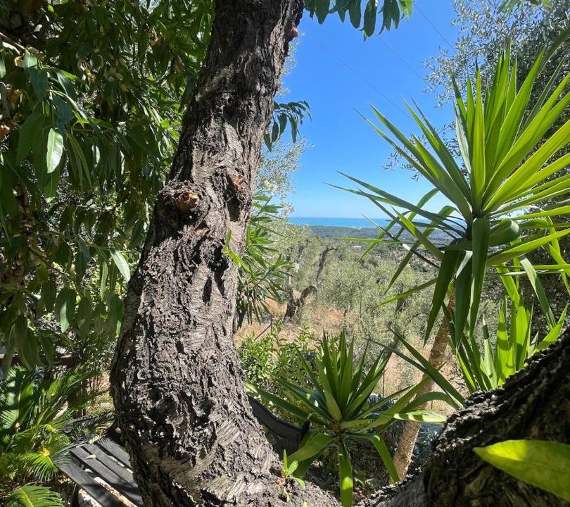 Photo of Others in Vico del Gargano