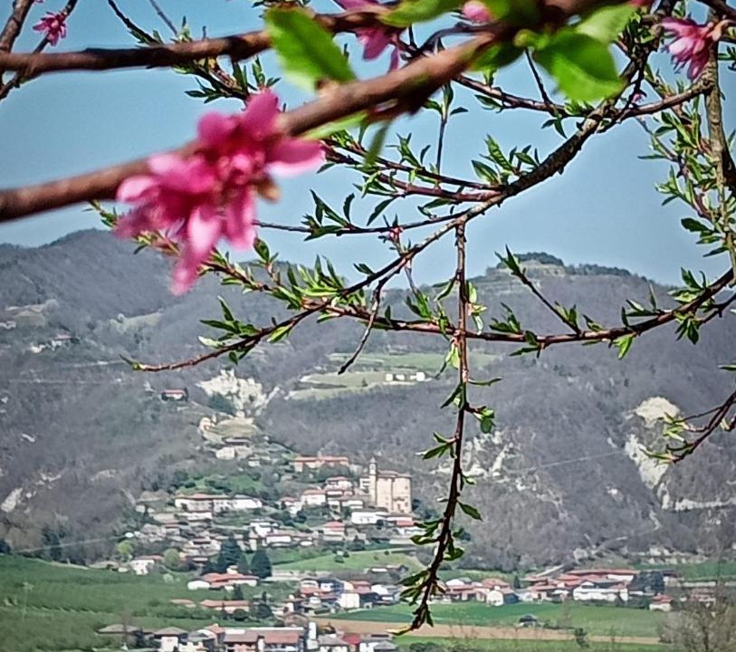 Photo of Others in Vesime