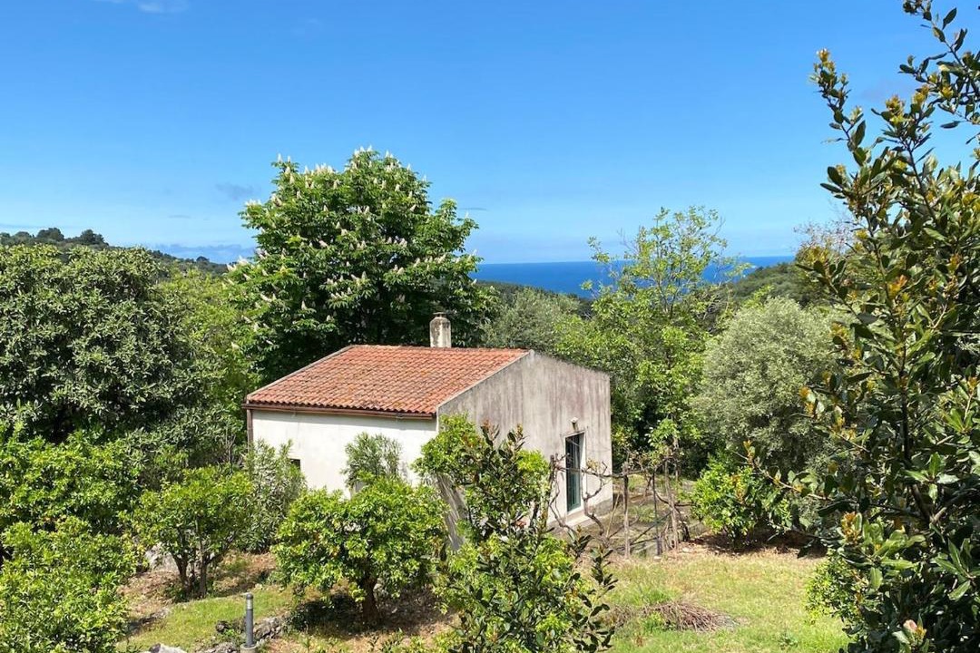 Photo of Others in Vico del Gargano