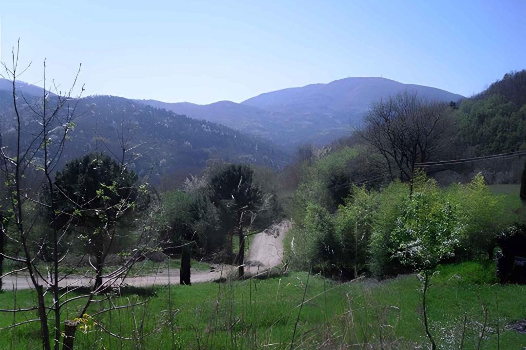 Photo of Others in Montieri