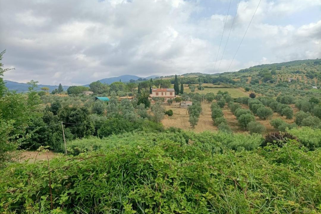 Photo of Others in Roccastrada