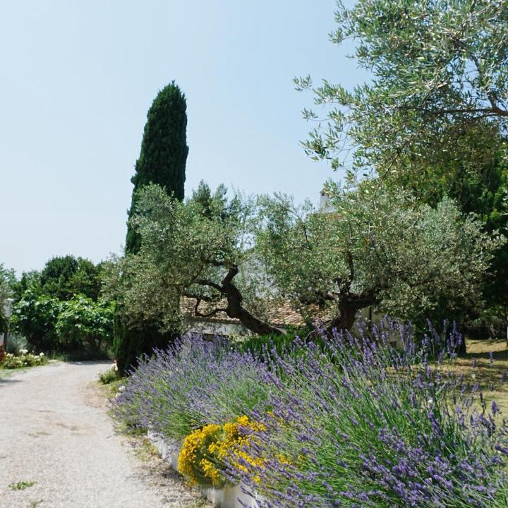 Photo of Others in Citta Sant'Angelo