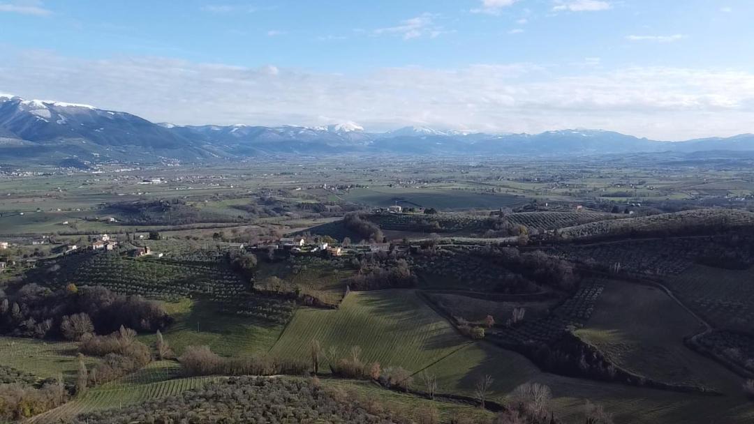 Photo of Others in Montefalco