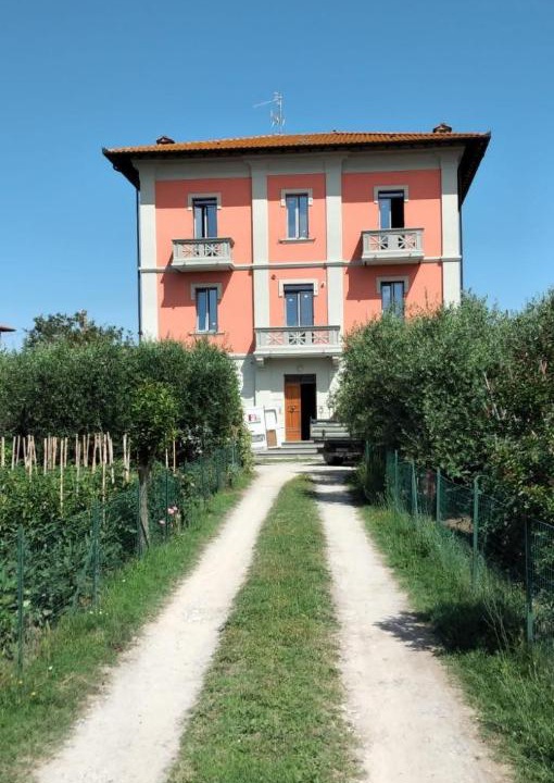 Photo of Others in Castiglione del Lago