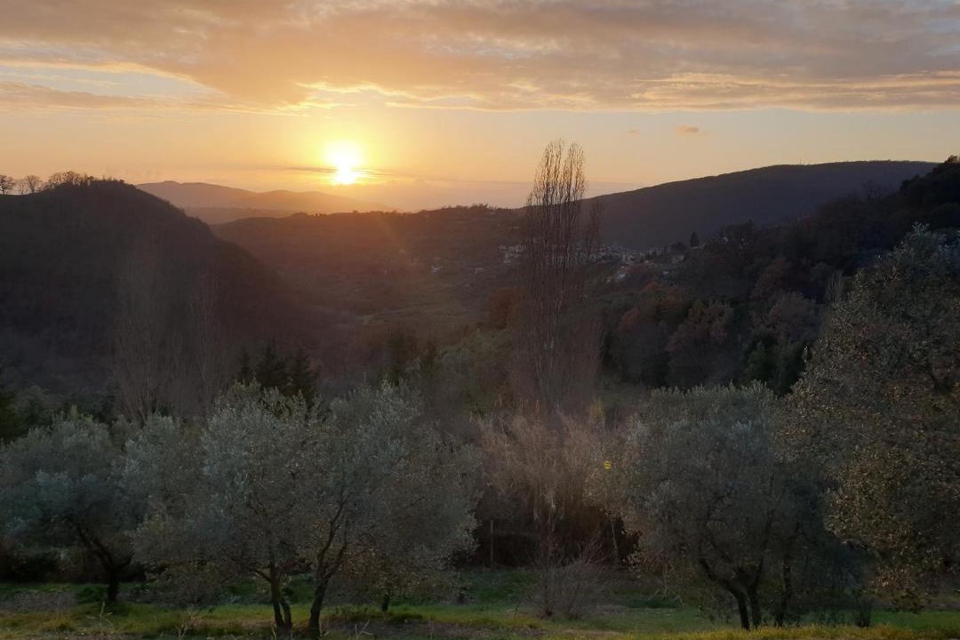Photo of Others in Poggio San Lorenzo