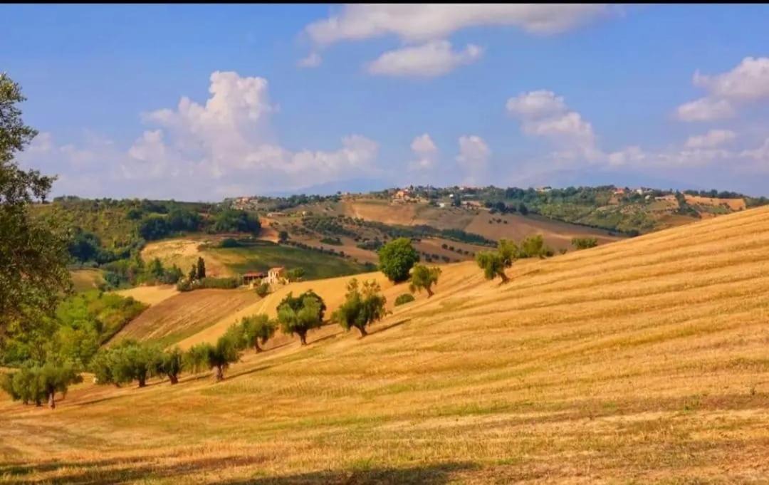 Photo of Others in Mosciano Sant'Angelo