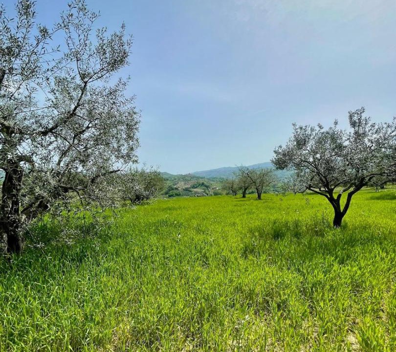 Photo of Others in Montorio al Vomano