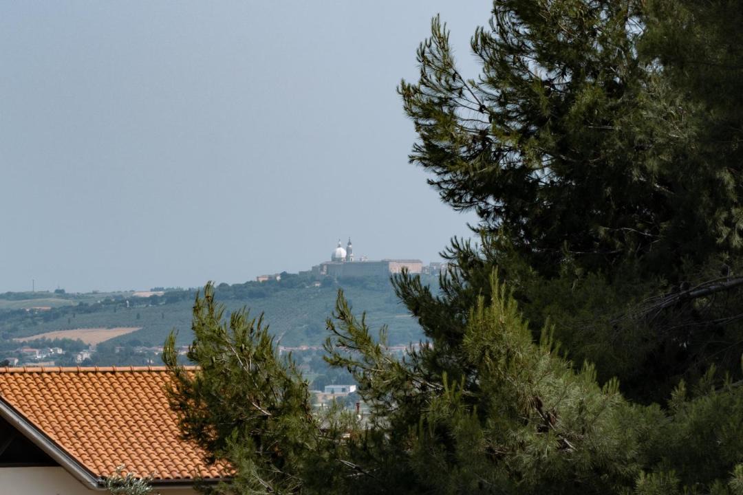 Photo of Others in Castelfidardo