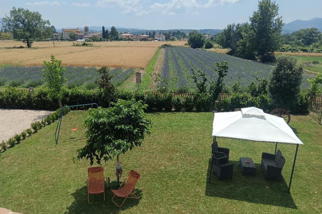 Photo of Others in Montefalco