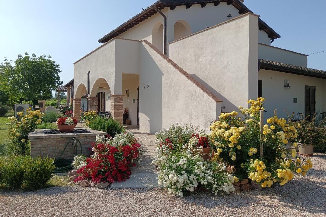 Photo of Others in Montefalco