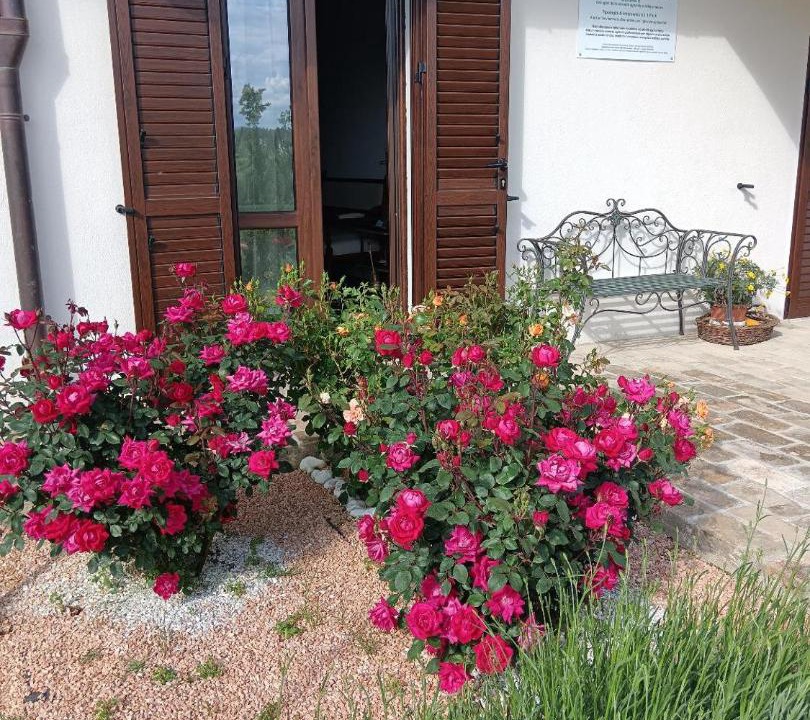Photo of Others in Montefalco