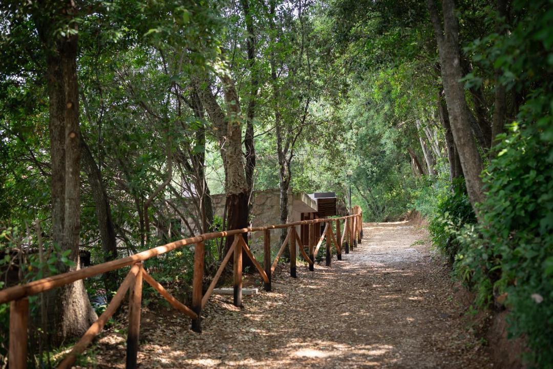 Photo of Others in Campiglia Marittima