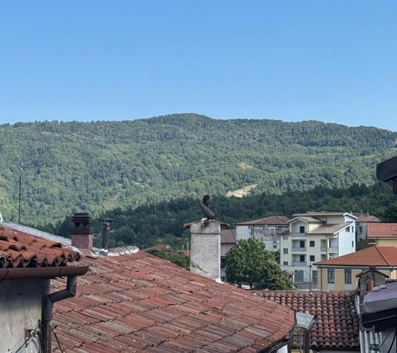 Photo of Others in Castelsaraceno