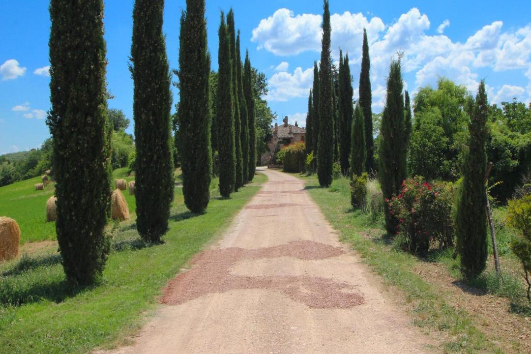 Photo of Others in San Venanzo