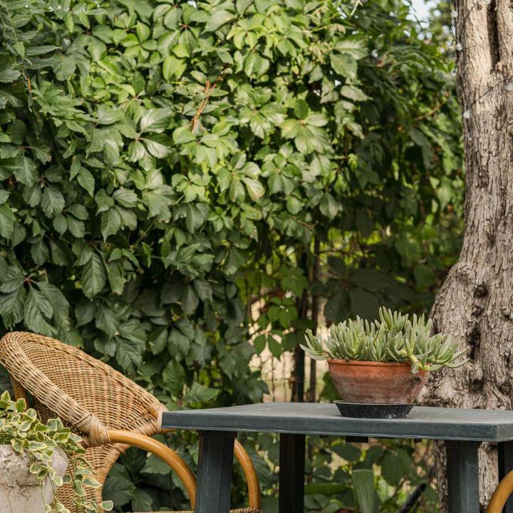 Photo of Others in Corigliano Calabro