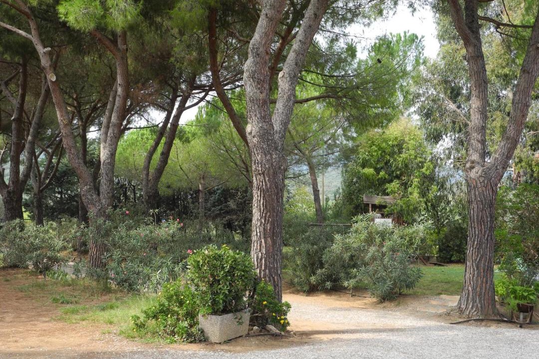 Photo of Others in Grosseto