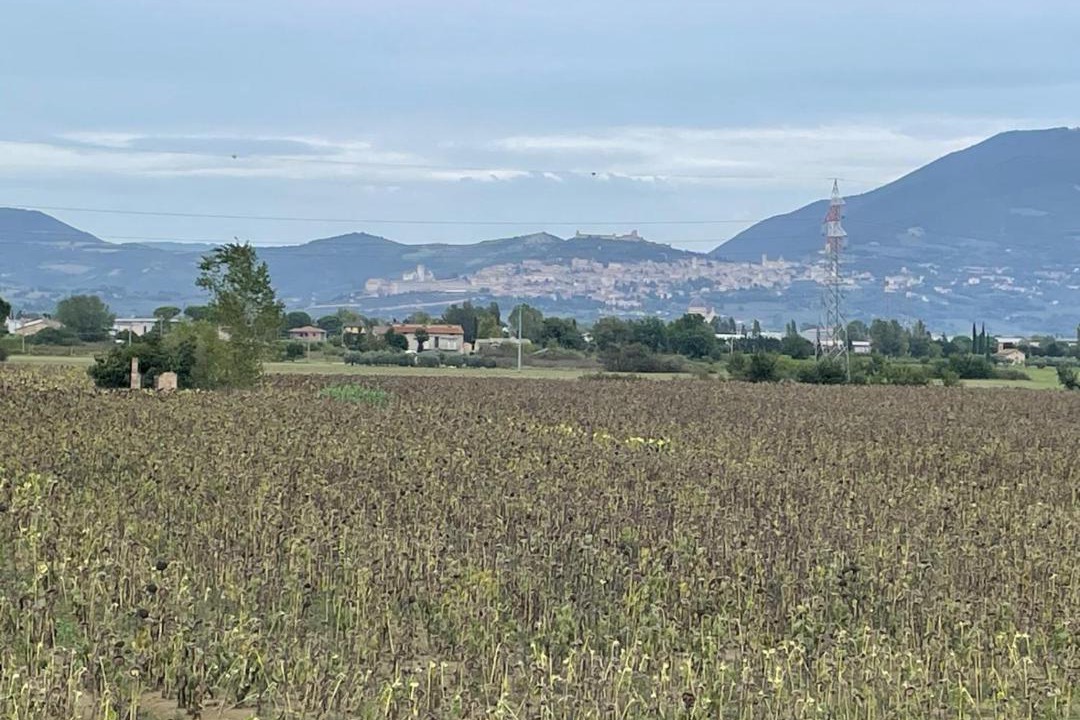 Photo of Others in Costano