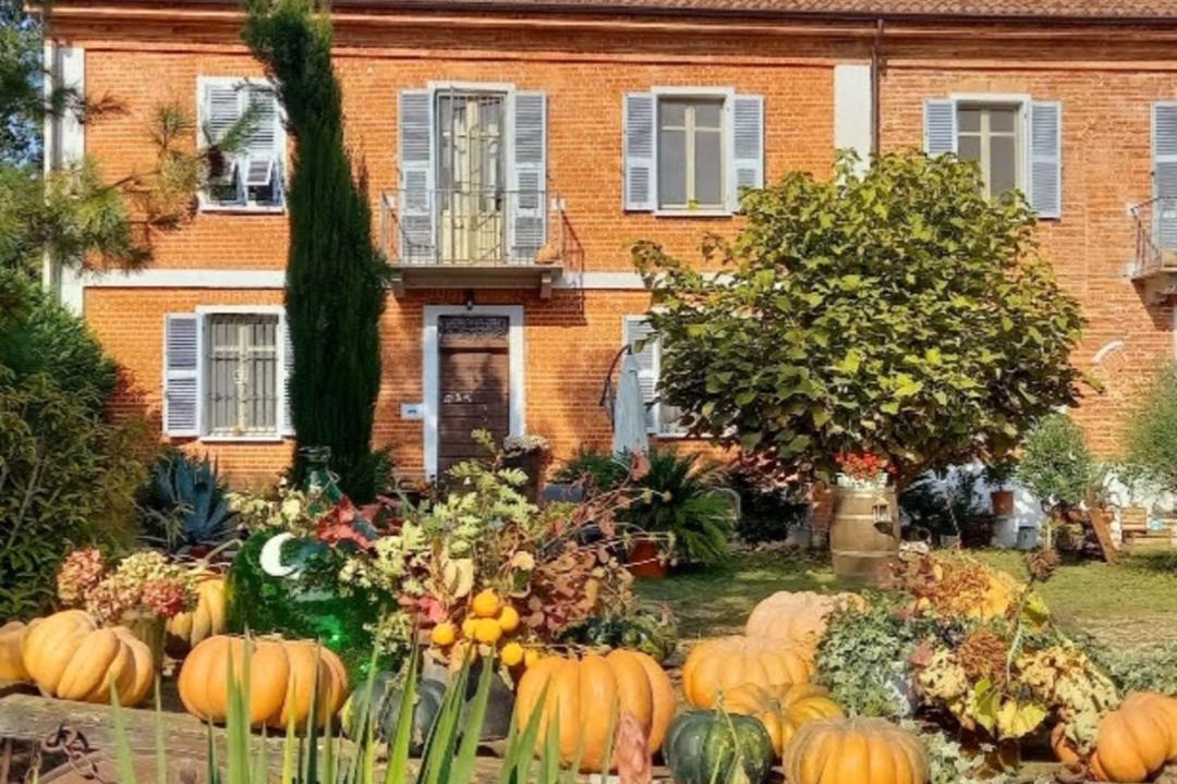 Photo of Others in Castelnuovo Belbo