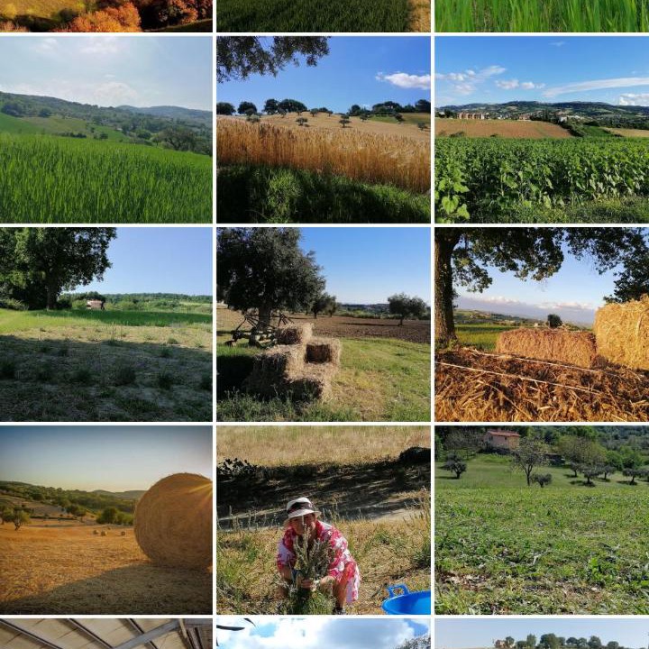 Photo of Others in Cingoli