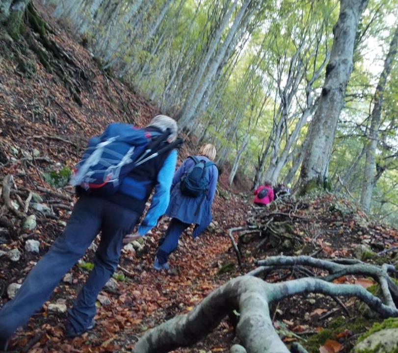 Photo of Others in Cingoli
