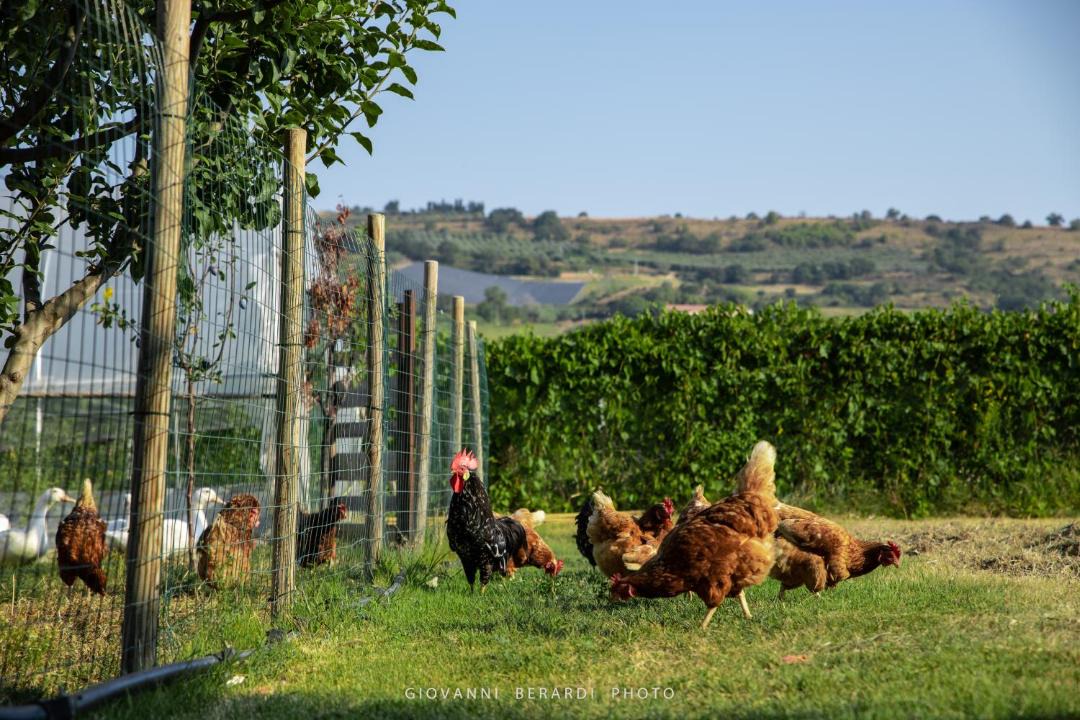 Photo of Others in Lapedona