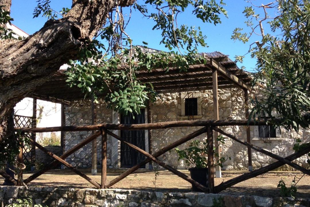 Photo of Others in Vico del Gargano