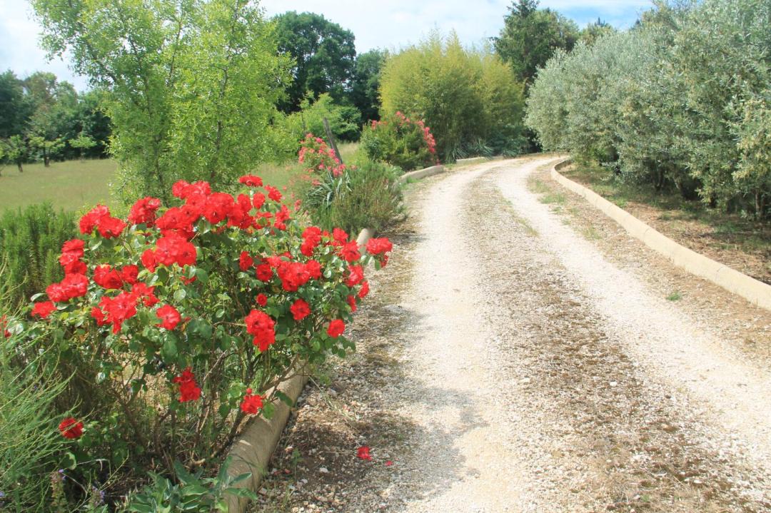 Photo of Outdoor in Todi