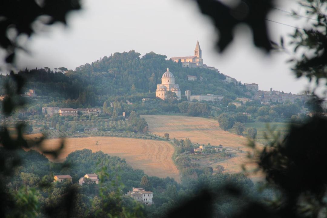 Photo of Others in Todi