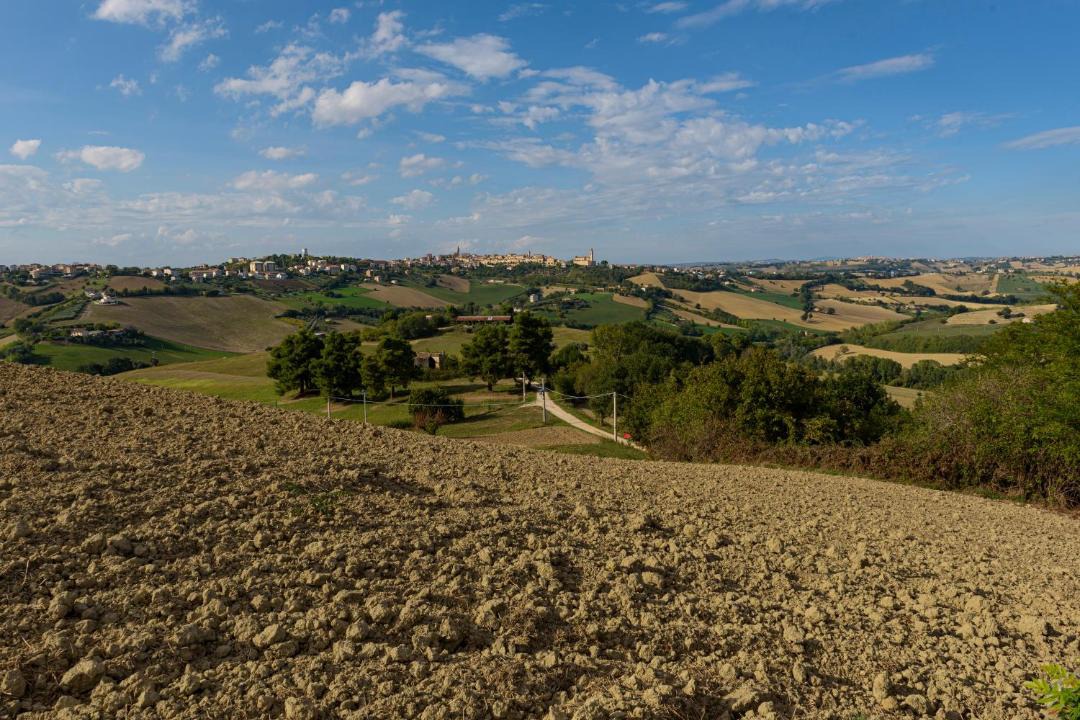 Photo of Others in Monte San Pietrangeli