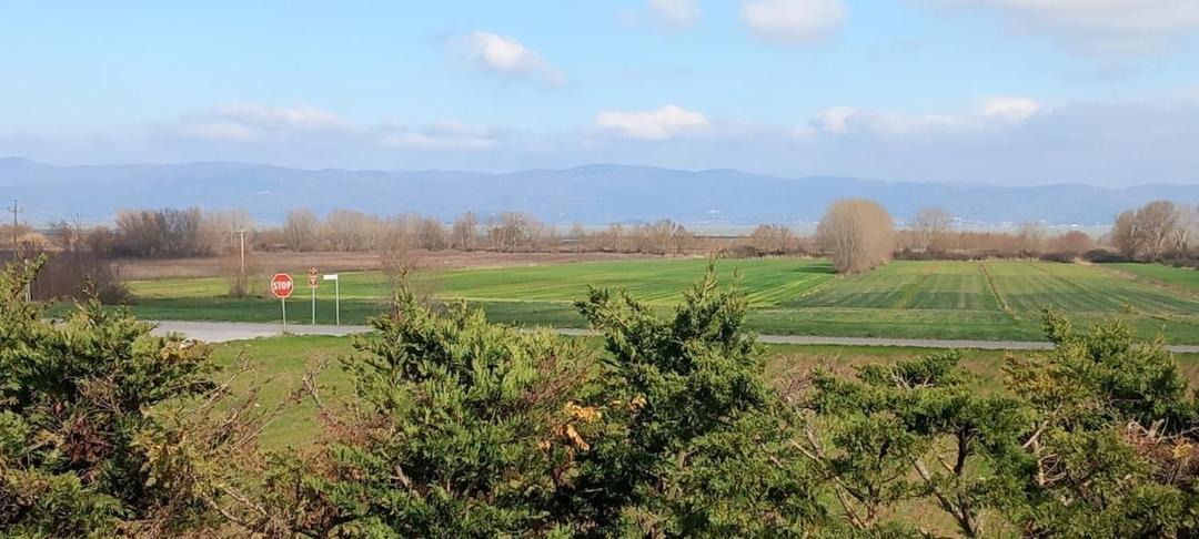 Photo of Others in Castiglione del Lago
