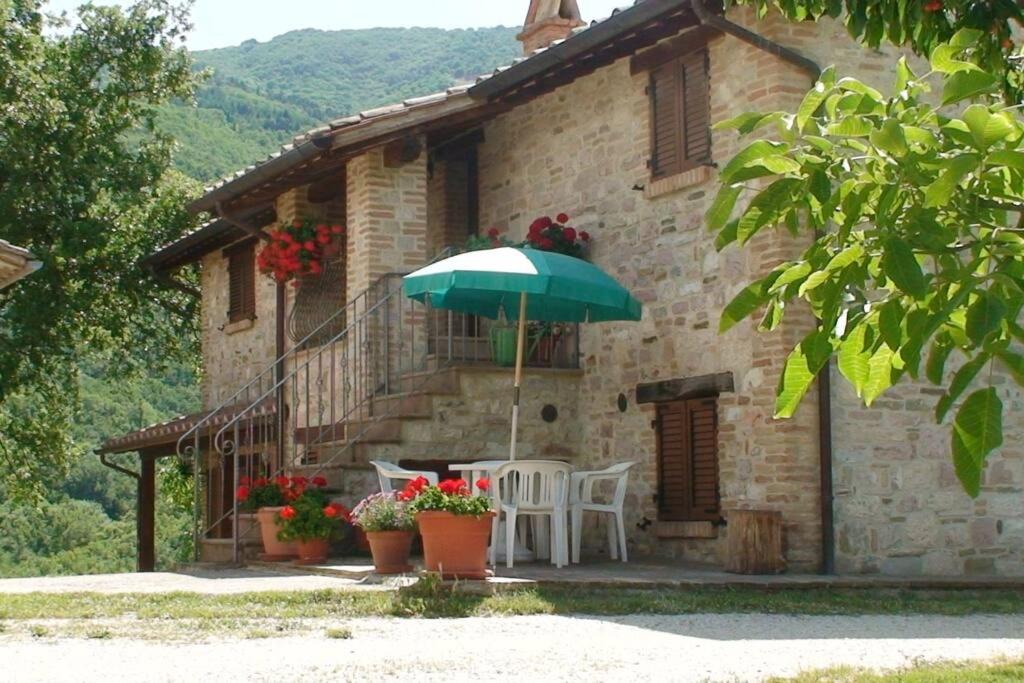 Photo of Others in Assisi